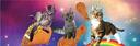 Discovery splash banner for Maow πΊπ | Social & Gatitos Discord server
