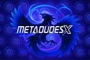 Discovery splash banner for METADUDESX Discord server