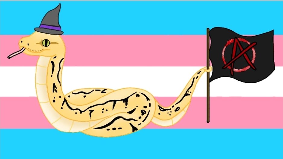 Discovery splash banner for Gender Anarchy! Discord server