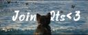 Discovery splash banner for . Born2luv~! š¦ || Socialć»Hangoutć»Animeć»Chillć»Loveć»Nitroć»Vcsć»Gamingć»Fun Discord server