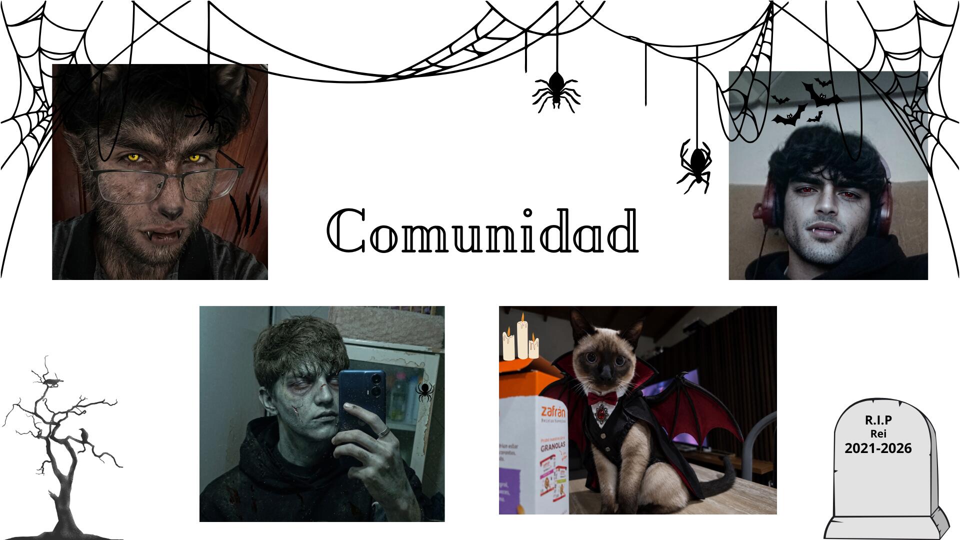 Discovery splash banner for 🎃 Comunidad Discord server
