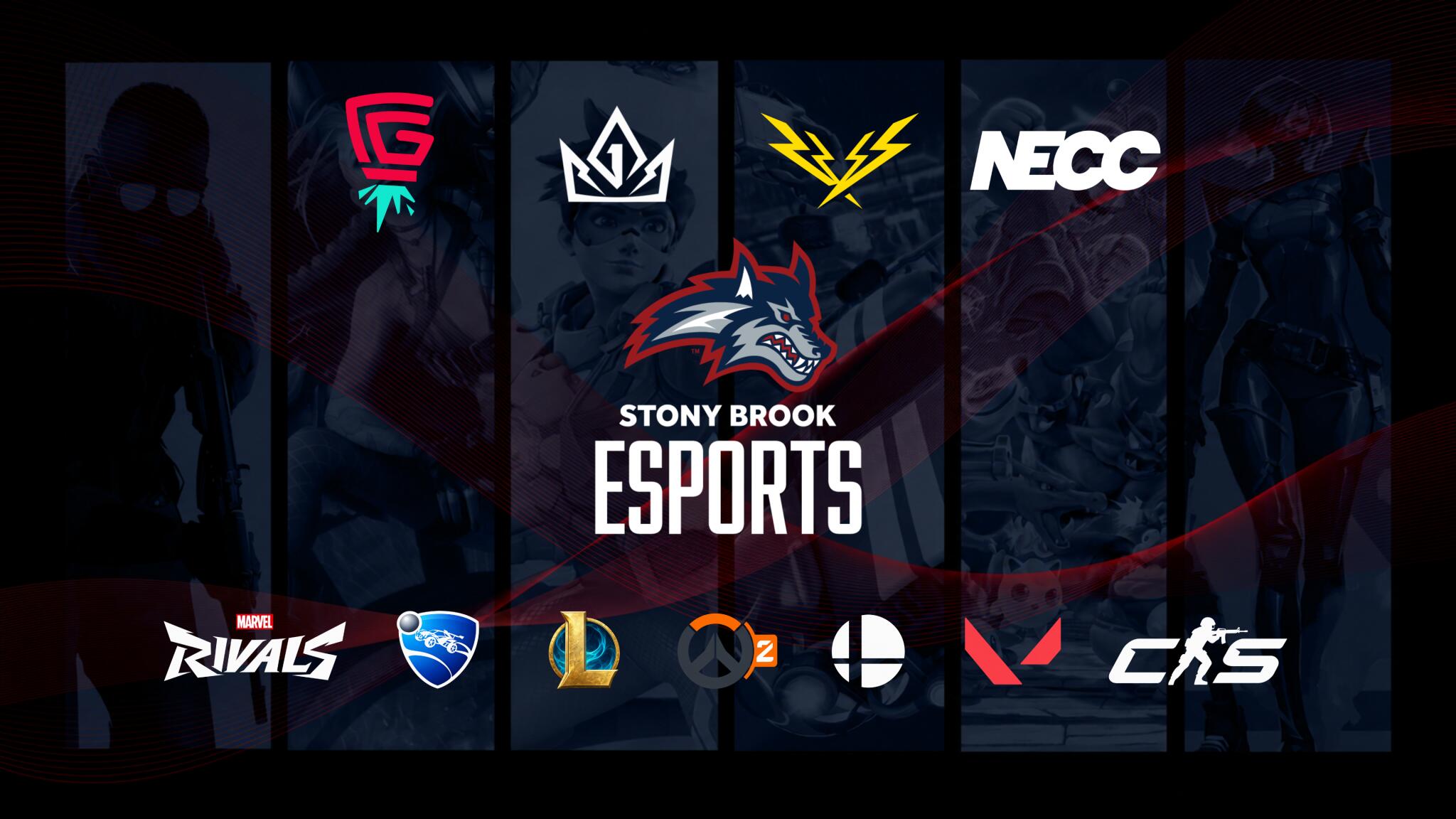 Discovery splash banner for Stony Brook Esports Discord server