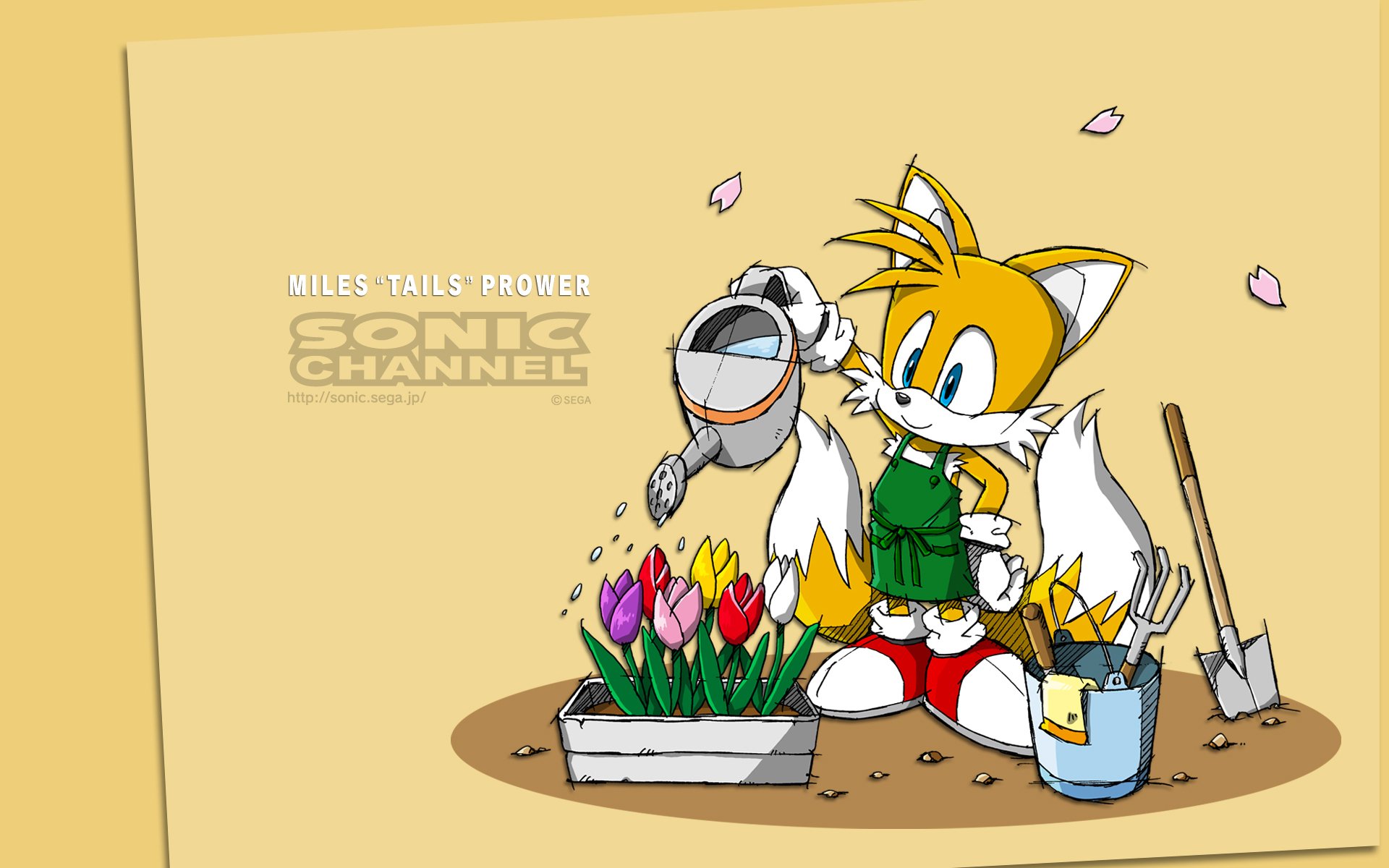 Discovery splash banner for Miles "Tails" Prower Fans Discord server