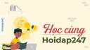 Discovery splash banner for Hoidap247 Official Discord server