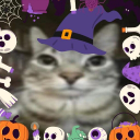 Discovery icon for Maow 😺🎃 | Social & Gatitos Discord server
