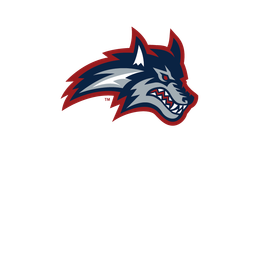 Discovery icon for Stony Brook Esports Discord server