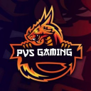 Discovery icon for PVS GAMING Discord server