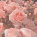 Discovery icon for 🌸 rosey ❀˖°  |   social ⋆ free tag ⋆ gwys Discord server
